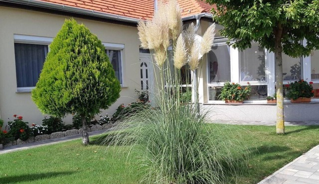 Holiday flat in Bük on the ground floor with garden in Bük