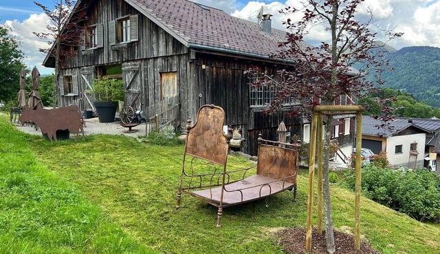 Holiday Home 'Evelyn's Hütte' with Mountain View, Private Terrace and Wi-Fi in Schwarzenberg