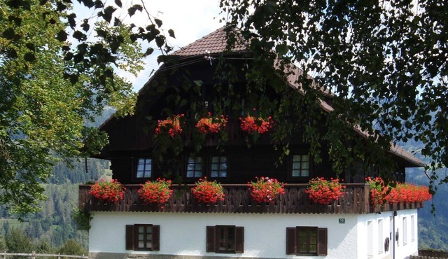 Holiday house Birkenhof 1 - Birkenhof in Verditz