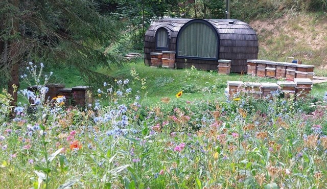 Igluhuts Passail - Igluhaus Almenland in Hohenau an der Raab