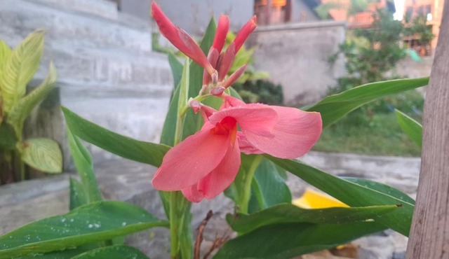 Inara Homestay