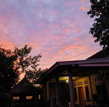 Keluncing Field Homestay in Tetebatu