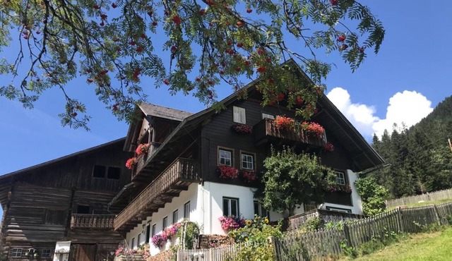 Knaushof by Interhome in Ramsau am Dachstein