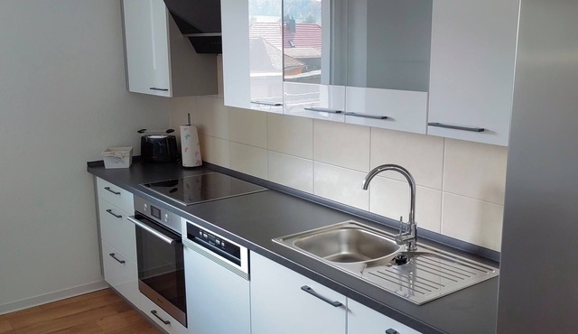 Modern, centrally located vacation apartment in Ebersbach/Oberlausitz in Ebersbach-Neugersdorf