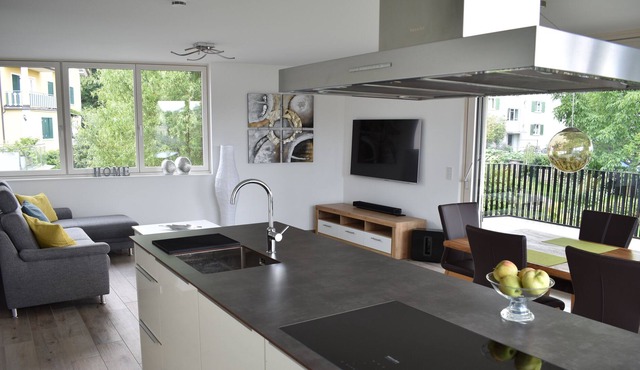 modern great apartment (approx. 110 m²) in Lochau