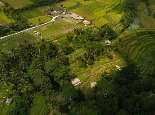 Nadi Nature Resort - Adults Only in Tabanan
