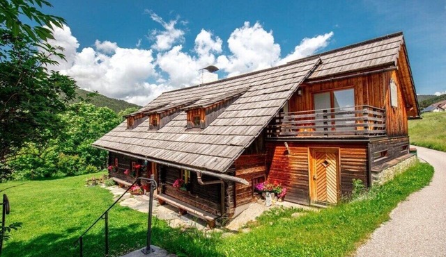 Napoleon Villa - for creative retreats in Rennweg am Katschberg