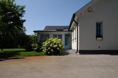 Napsugaras Birtok in Röszke