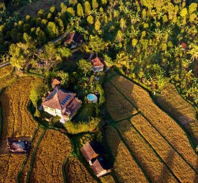 North Bali Eco Cabin Nature Retreat