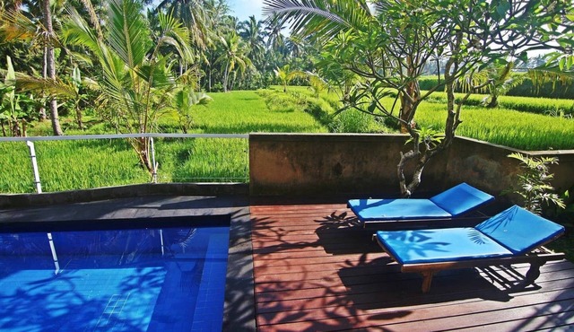 One Bedroom Ricefields View Villa Ubud #3
