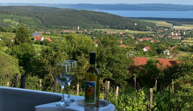 Panoráma Borbirtok in Mencshely