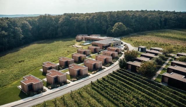 Ratschen Groszer Wein in Eisenberg an der Pinka
