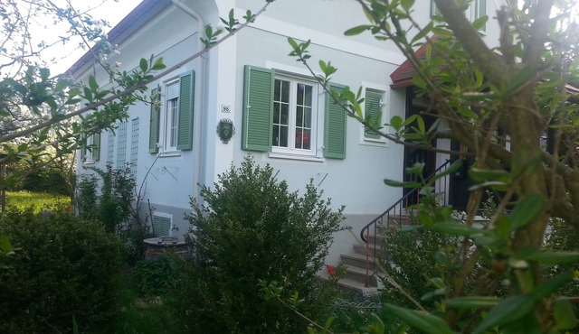 Small house of non-smokers in the 'old style garden' with vine leaves in Arnfels