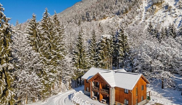 Spacious holiday apartment by a lake in the Alps in Hermagor-Pressegger See