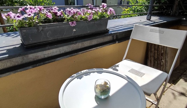 Spacious, bright, quiet room with balcony & TV in Wien