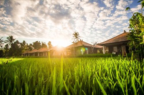 Sri Lestari Banyuatis in Munduk
