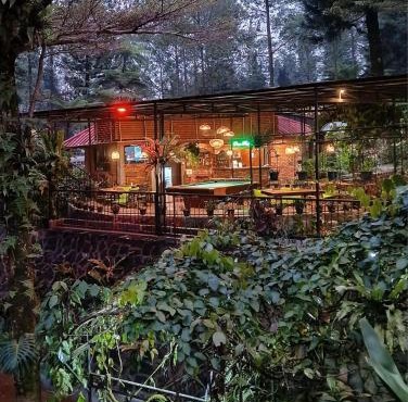 The Pinewood Lodge and Organic Farm