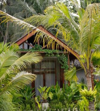 The Salty Jungle
