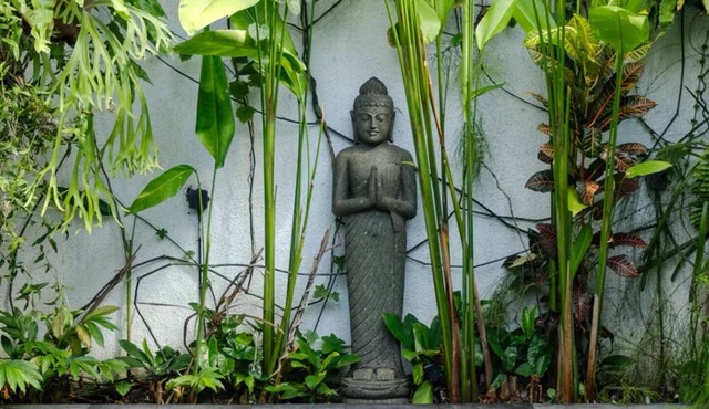 Third Eye House Ubud - Heal, Relax, Saltwater pool