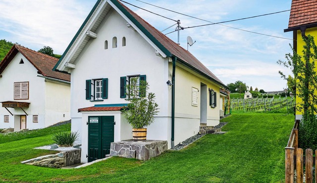This small Kellerstöckl in the middle of the idyllic vineyards of southern Burgenland will delight y in Eisenberg