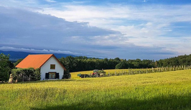Urlaub am Kinispa in Hannersdorf