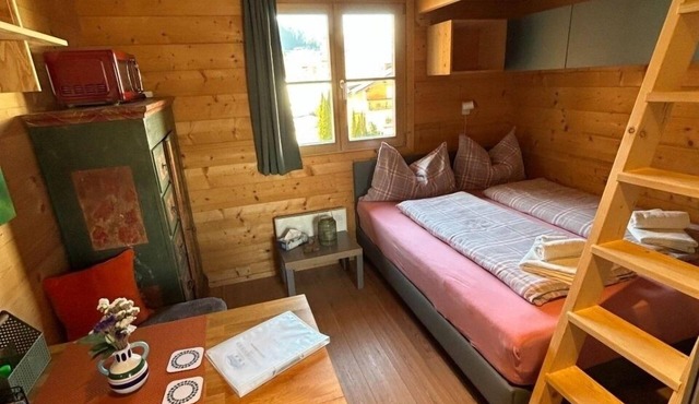 Vacation apartment/apartment for 2 guests with 20m² in Haus Im Ennstal (270678) in Haus Im Ennstal