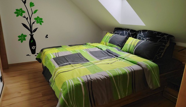 Vacation apartment/apartment for 4 guests with 64m² in Bad Ischl (295150) in Bad Ischl