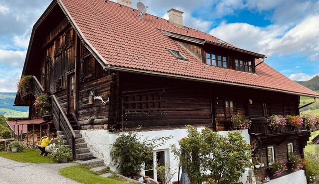 Vacation apartment/apartment for 8 guests with 150m² in Puchreit (299875) in Puchreit