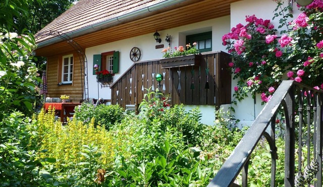 Vacation home with wood-burning stove and infrared cabin nestled in a large natural garden in Kirchberg an der Raab