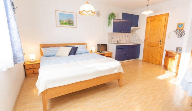 Vacation apartment (25 sqm) with balcony and view of the town of Waidhofen in Waidhofen an der Ybbs