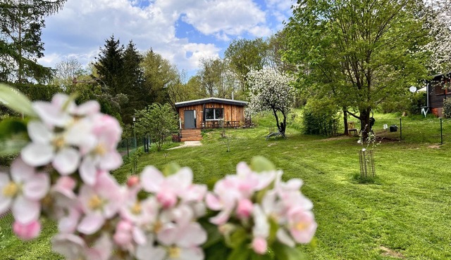 Vacation home II Zittertal Neustadt Harz with large fenced garden in Neustadt/Harz