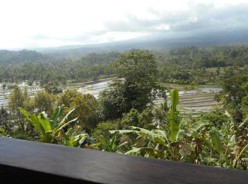 Villa Dukuh in Selat