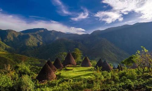 Wae Rebo Traditional Village Dormitory
