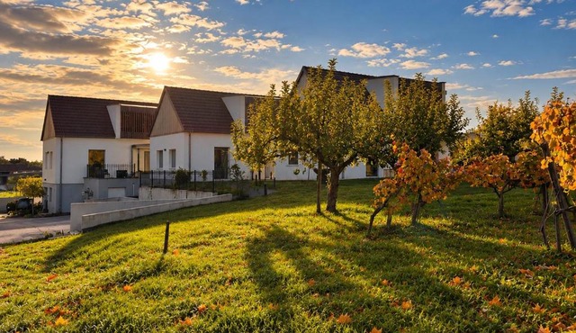Weinberg Chalet 2 in Eisenberg an der Pinka
