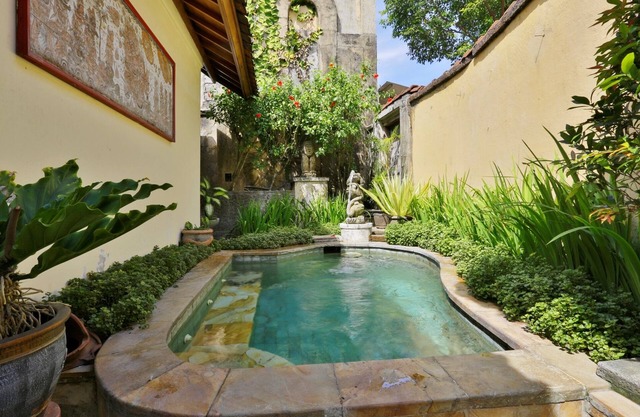 1 BR Villa near Ubud with a private plunge pool and a living area incl breakfast