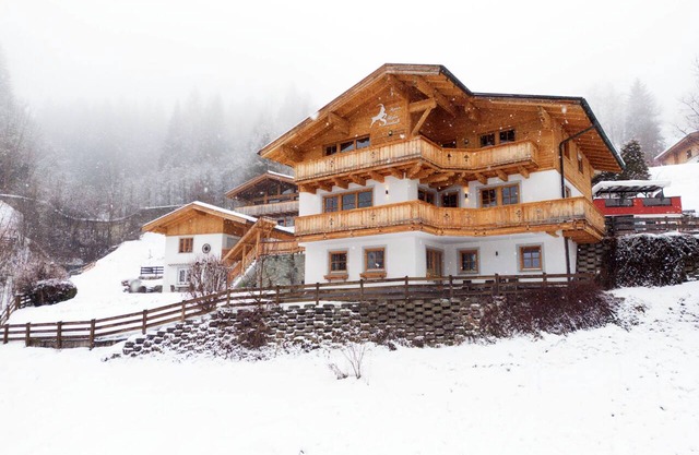 Alpensteinbock Saalbach 
