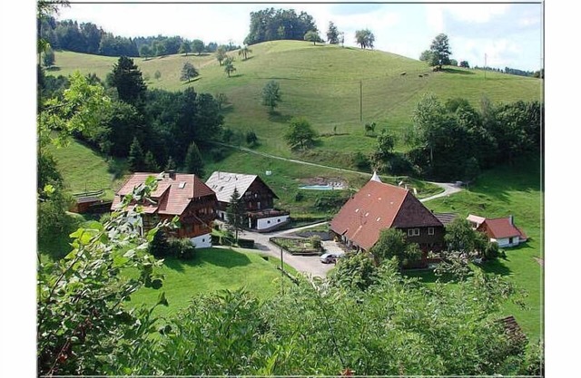 Vogtadeshof Wolfach Lhs 