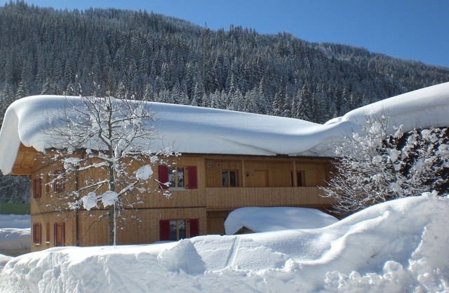 Wald Arlberg 