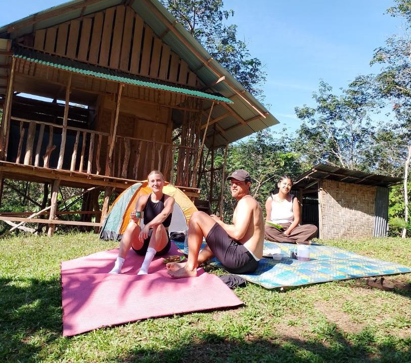 Bukit Lawang House | WOOD CABIN LODGE IN THE FOREST book here treking with us