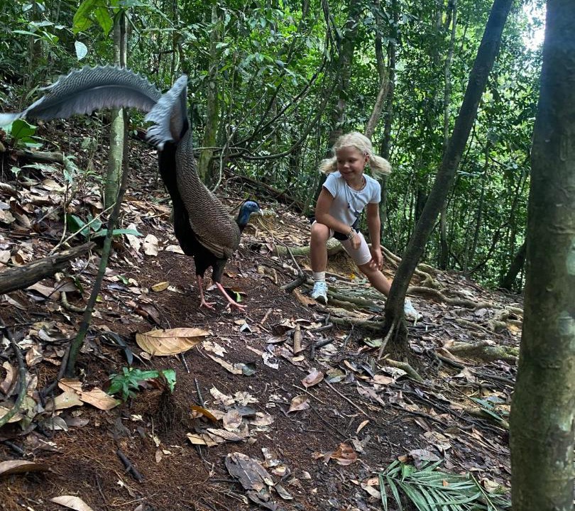 Bukit Lawang House | Tiga dara guest house & jungle trekking bukit Lawang