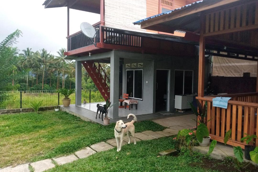 Tomohon House | Homestay Alina