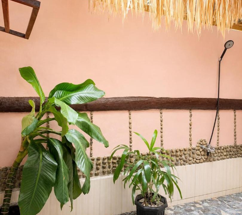 Bukit Lawang House | Jungle life guesthouse Trekking & Transport Book with us