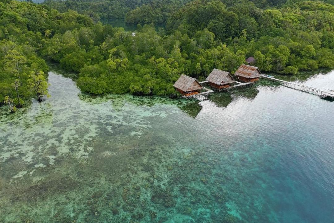 Pulau Pef House | The Driftwood House