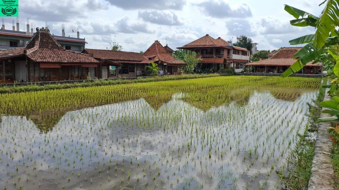 Sleman House | Alamanda Villas, Family Villas, Pool & Local Tours