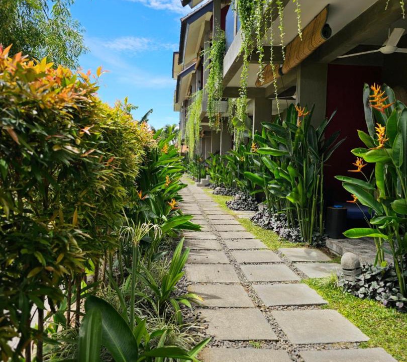 Pererenan Hotel | Wasabi