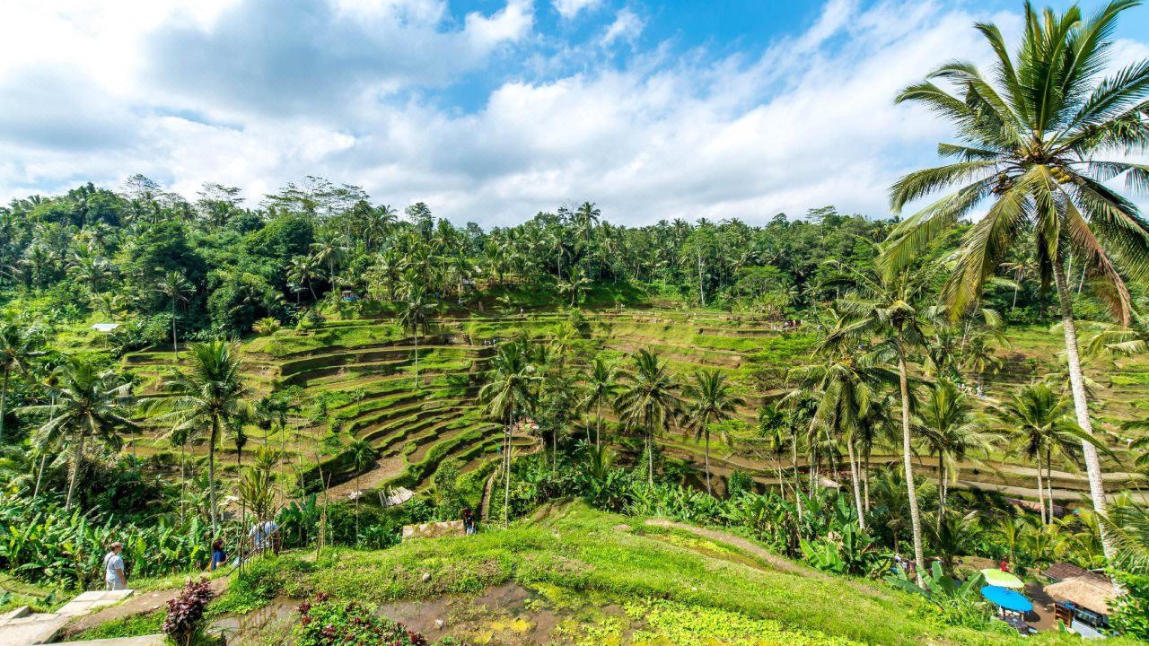 Photo of Outdoor in Ubud City-Centre