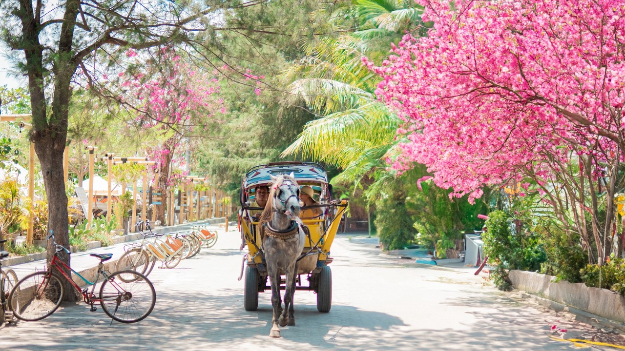Photo of Outdoor in Gili Trawangan