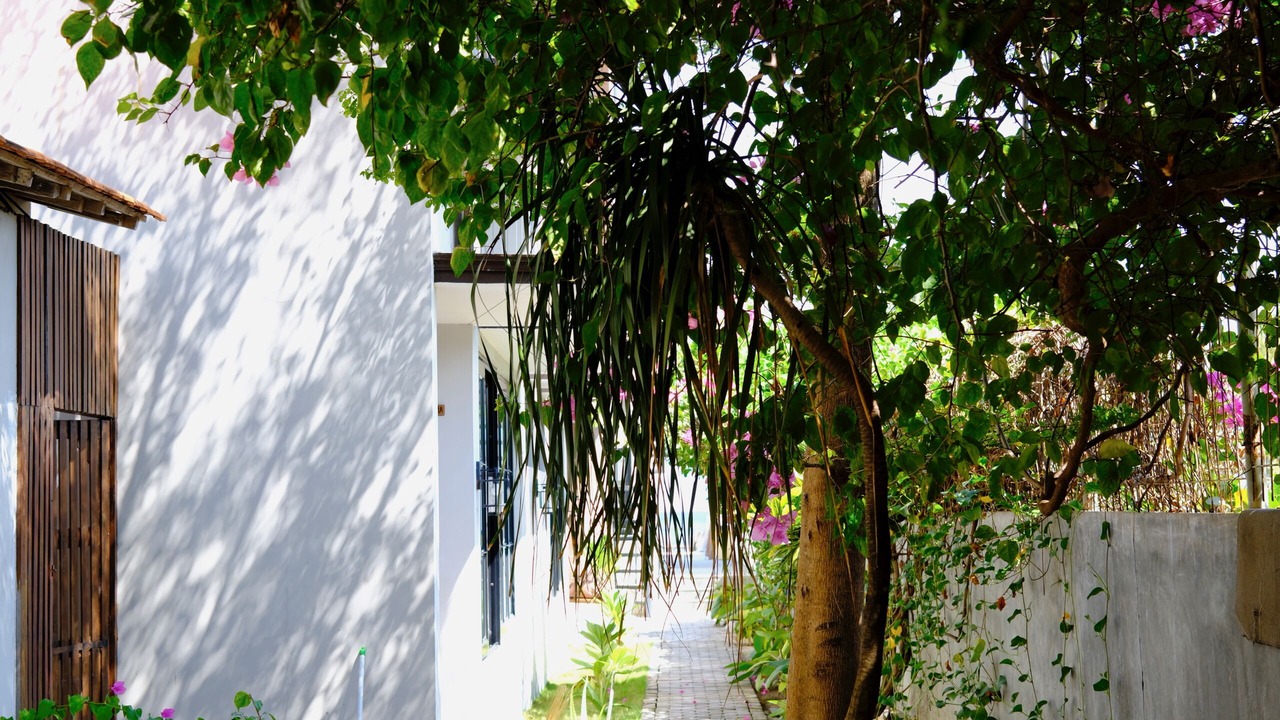 Photo of Bedroom in Rote Island