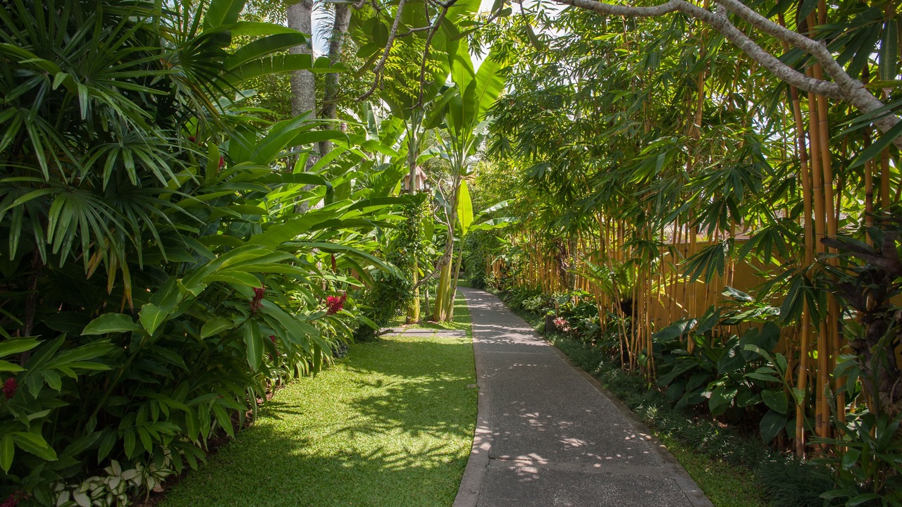 Photo of Outdoor in Ubud City-Centre