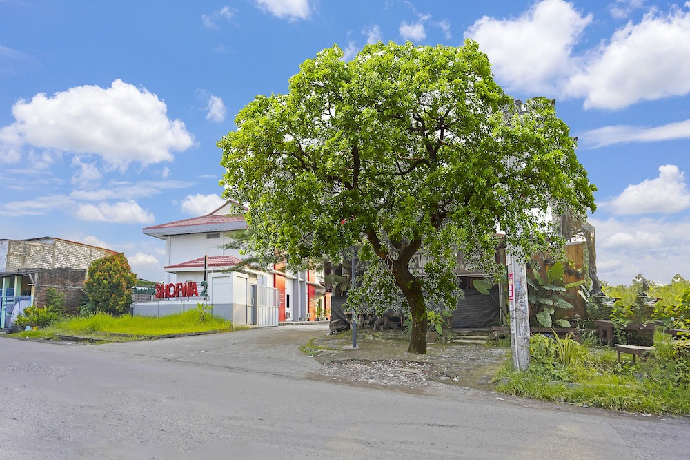 Photo of Outdoor in Waru